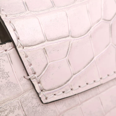 ルイヴィトン LOUIS VUITTON カプシーヌ MINI ピンク系 クロコダイル 2WAYバッグ ゴールド金具 グレー ショルダー ハンドバッグ