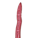 腕時計 ブランパン BLANCPAIN ヴィルレ ウルトラスリム バレンタインデー 2005 6102A-4688-95A 自動巻き レディース 純正ダイヤ 白 限定