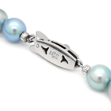 タサキ TASAKI パール 7.5-7.8mm ブルー×ホワイトゴールド K14WG パール ネックレス 青 TASAKI 14K 585AU 真珠 ラウンドシェイプ