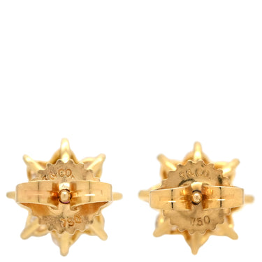 ティファニー Tiffany & Co ルビー ダイヤ レッド×イエローゴールド K18YG ルビー ダイヤモンド ピアス 750 18K 18金
