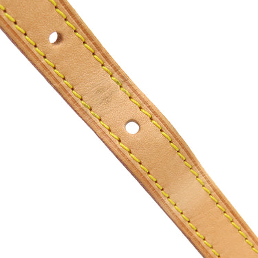 ルイヴィトン LOUIS VUITTON プティット ノエ トランク M43509 モノグラム モノグラムキャンバス 2WAYバッグ ゴールド金具 茶