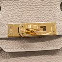 エルメス HERMES バーキン 25 トゥルティエールグレー トゴ ハンドバッグ ゴールド金具