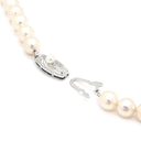 タサキ TASAKI あこやパール 7.0-7.4mm 7004 ピンク×シルバー シルバー パール ネックレス TASAKI silver 真珠 ラウンドシェイプ