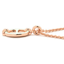 エルメス HERMES ミニマイヨン PM ペンダント ヴェールフィズ GP エナメル ネックレス ローズゴールド金具 PG金具 シェーヌダンクルモチーフ ライトグリーン 新品 未使用