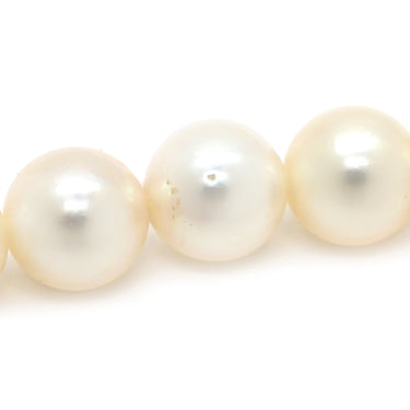 ミキモト MIKIMOTO パール 6.8-7.3mm パールホワイト×イエローゴールド K14YG パール ネックレス MIKIMOTO 真珠 14K 585
