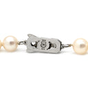 ミキモト MIKIMOTO パール 6.8-7.3mm パールホワイト×ホワイトゴールド K14WG パール ネックレス MIKIMOTO 真珠 14K 585