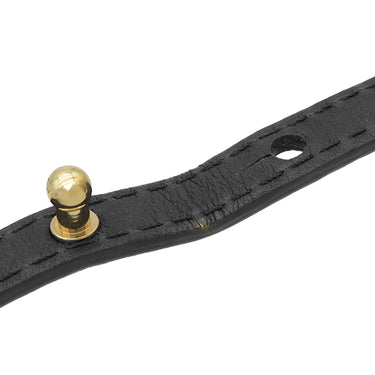 ルイヴィトン LOUIS VUITTON パームスプリングス バックパック MINI M41562 モノグラム モノグラムキャンバス リュック・デイパック ゴールド金具 茶