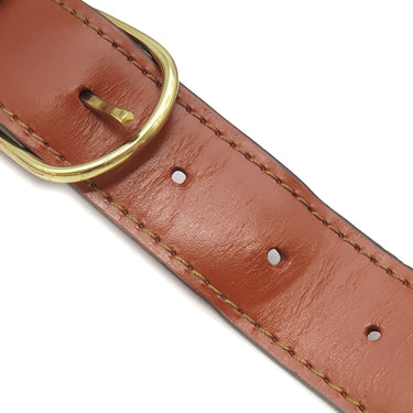 ルイヴィトン LOUIS VUITTON サック デポール GM M80193 ケニアブラウン エピレザー ショルダーバッグ ゴールド金具 茶 ワンショルダー