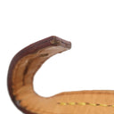 ルイヴィトン LOUIS VUITTON フェイボリット PM M40717 モノグラム モノグラムキャンバス 2WAYバッグ ゴールド金具 茶 ショルダーバッグ ハンドバッグ